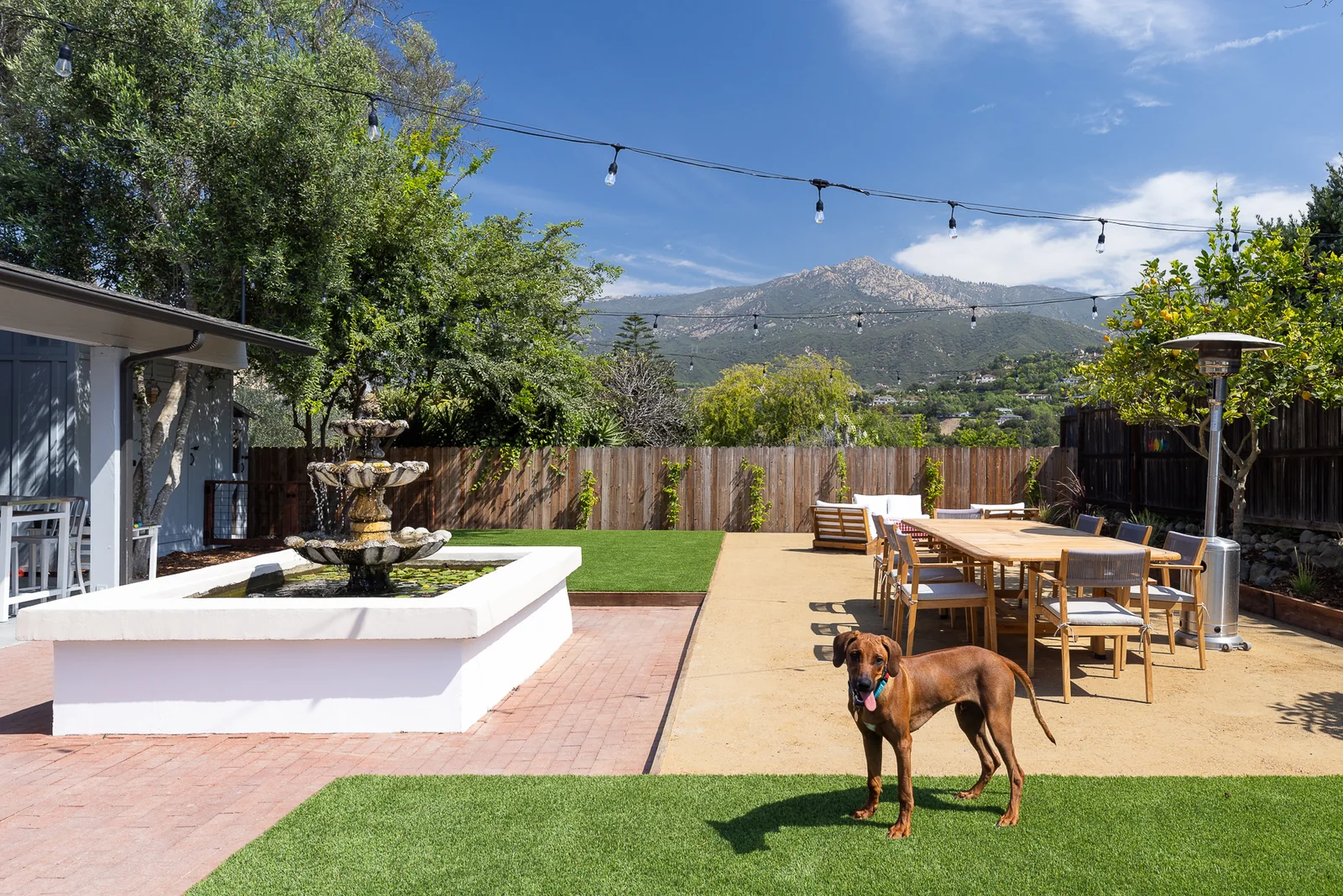 Dog standing on artificial turf beside a raised lily pond fountain, with a decomposed granite dining patio and mountain views behind