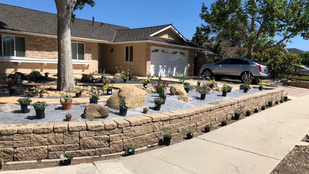 A front yard under renovation with numerous potted plants placed on a stone-paved area. There are large rocks and a tree in the garden, and a gray car parked in the driveway of a beige house.